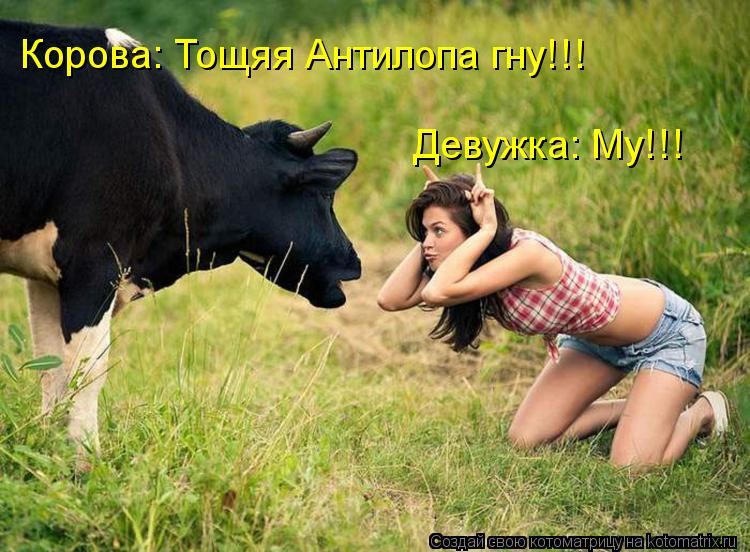 Девужка: My!!! Корова: Тощяя Антилопа гну!!!... Котоматрица: Девужка: My!!! Корова: Тощяя Антилопа гну!!!