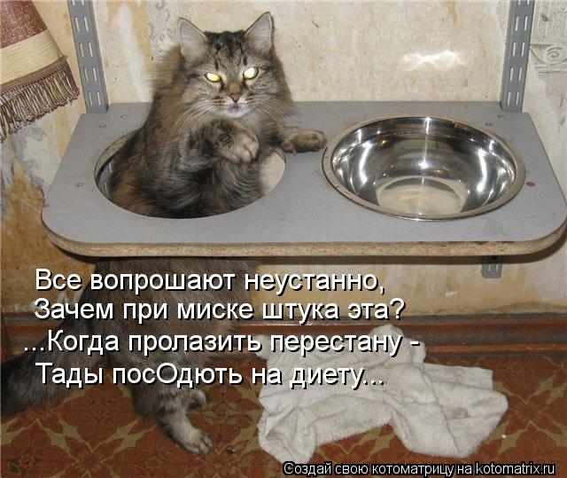 Все вопрошают неустанно, Зачем при миске штука эта? ...Когда пролазить перестану - Тады посОдють на д... Котоматрица: Все вопрошают неустанно, Зачем при миске штука эта? ...Когда пролазить перестану - Тады посОдють на диету...