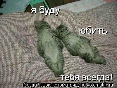 я буду юбить тебя всегда!... Котоматрица: я буду юбить тебя всегда!