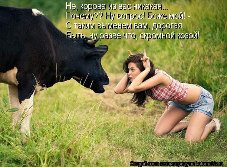 Не, корова из вас никакая... Почему?? Ну вопрос! Боже мой! - С таким выменем вам, дорогая, Быть, ну ... Котоматрица: Не, корова из вас никакая... Почему?? Ну вопрос! Боже мой! - С таким выменем вам, дорогая, Быть, ну разве что, скромной козой!