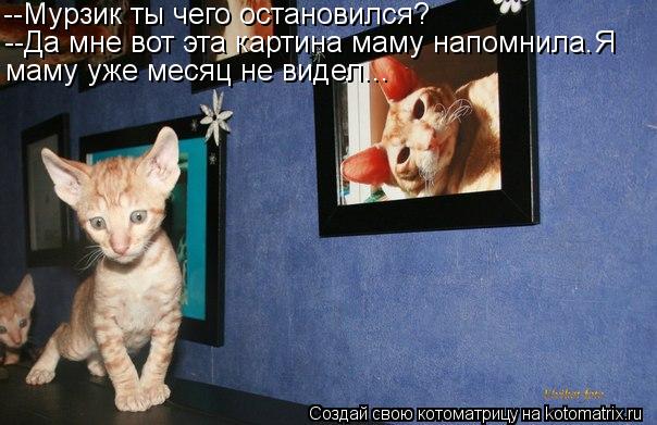 --Мурзик ты чего остановился? --Да мне вот эта картина маму напомнила.Я маму уже месяц не видел...... Котоматрица: --Мурзик ты чего остановился? --Да мне вот эта картина маму напомнила.Я маму уже месяц не видел...