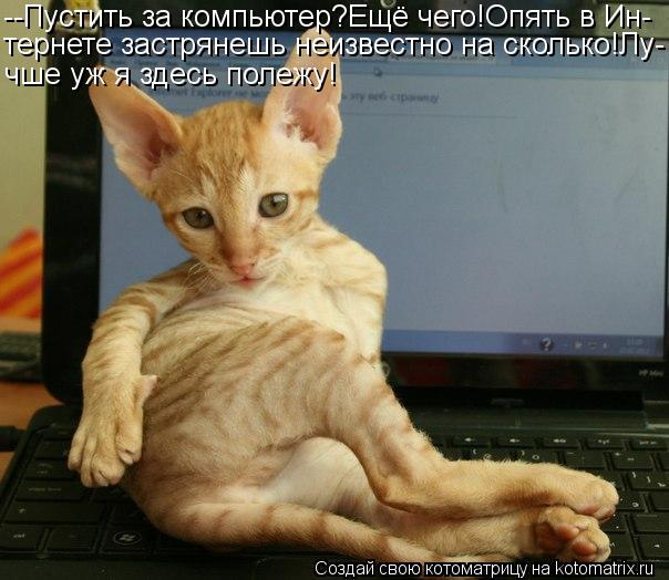 --Пустить за компьютер?Ещё чего!Опять в Ин- тернете застрянешь неизвестно на сколько!Лу- чше уж я зде... Котоматрица: --Пустить за компьютер?Ещё чего!Опять в Ин- тернете застрянешь неизвестно на сколько!Лу- чше уж я здесь полежу!