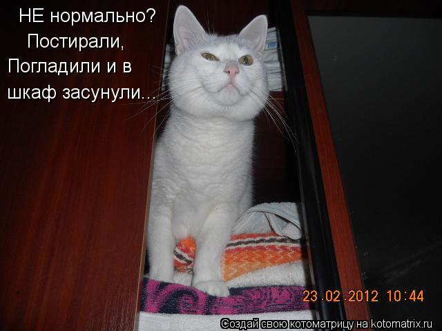 НЕ нормально? Постирали, Погладили и в шкаф засунули...... Котоматрица: НЕ нормально? Постирали, Погладили и в шкаф засунули...