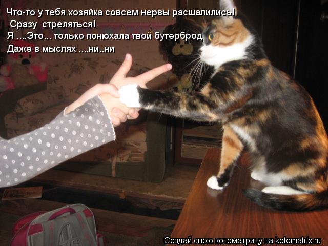 Что-то у тебя хозяйка совсем нервы расшалились! Сразу стреляться! Я ....Это... только понюхала твой ... Котоматрица: Что-то у тебя хозяйка совсем нервы расшалились! Сразу стреляться! Я ....Это... только понюхала твой бутерброд Даже в мыслях ....ни..ни
