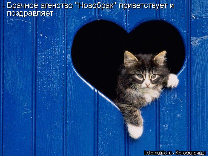 - Брачное агенство "Новобрак" приветствует и поздравляет... Котоматрица: - Брачное агенство "Новобрак" приветствует и поздравляет