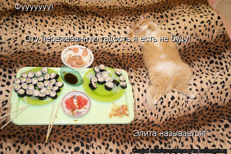 Фууууууу! Эту пережеванную гадость я есть не буду! Элита называется!... Котоматрица: Фууууууу! Эту пережеванную гадость я есть не буду! Элита называется!