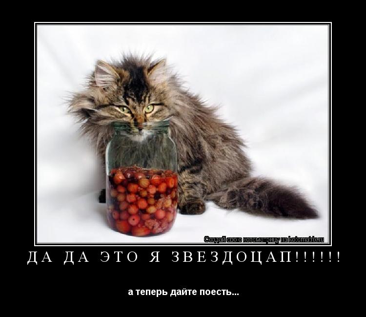 да да это я звездоцап!!!!!! а теперь дайте поесть...... Котоматрица: да да это я звездоцап!!!!!! а теперь дайте поесть...