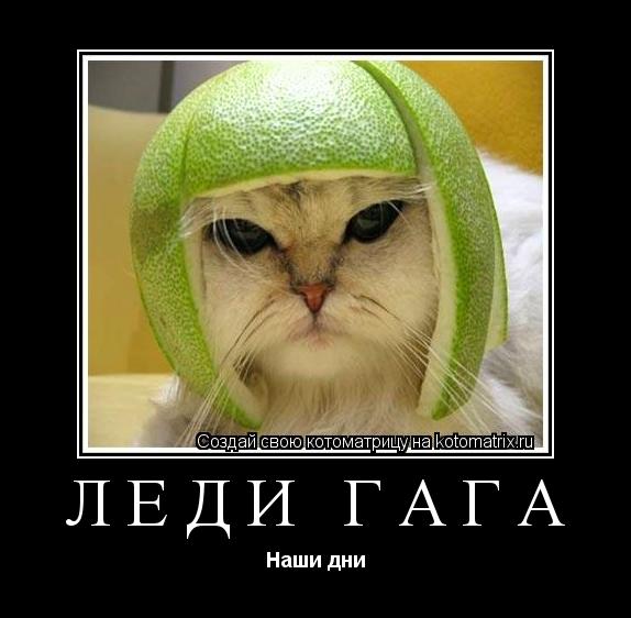 Леди ГаГа Наши дни... Котоматрица: Леди ГаГа Наши дни