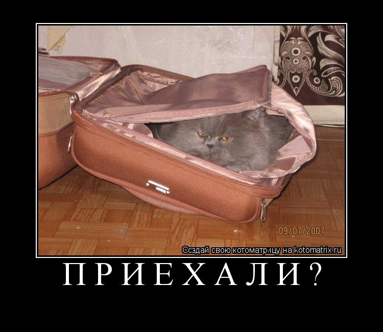 Приехали? ... Котоматрица: Приехали?