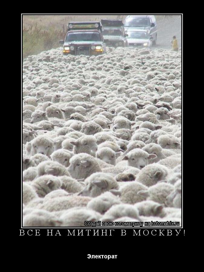 Все на митинг в Москву! Электорат... Котоматрица: Все на митинг в Москву! Электорат