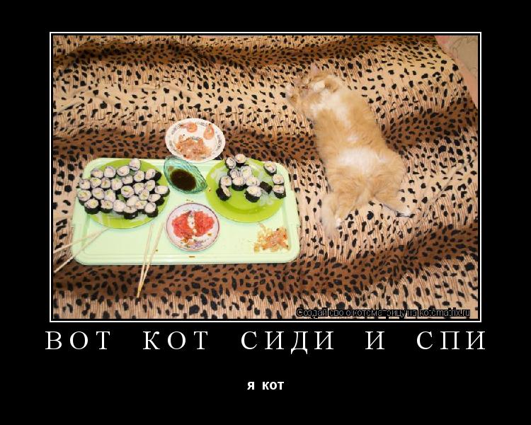 вот кот сиди и спи я кот... Котоматрица: вот кот сиди и спи я кот