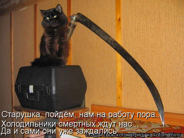 Старушка, пойдём, нам на работу пора... Холодильники смертных ждут нас... Да и сами они уже заждались... Котоматрица: Старушка, пойдём, нам на работу пора... Холодильники смертных ждут нас... Да и сами они уже заждались
