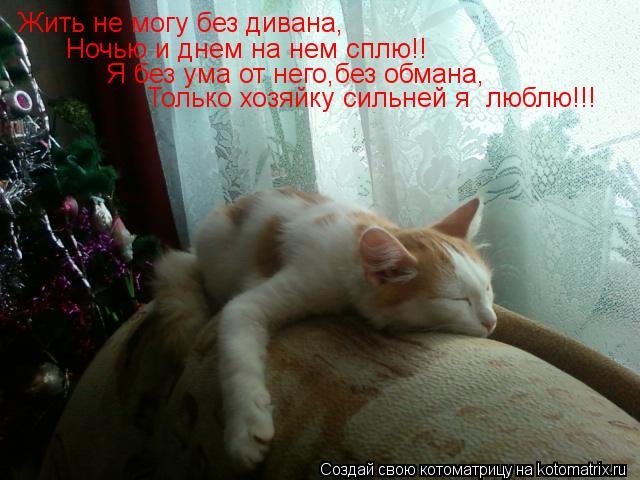 Жить не могу без дивана, Ночью и днем на нем сплю!! Я без ума от него,без обмана, Только хозяйку сил... Котоматрица: Жить не могу без дивана, Ночью и днем на нем сплю!! Я без ума от него,без обмана, Только хозяйку сильней я люблю!!!