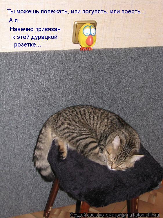 Ты можешь полежать, или погулять, или поесть... А я... Навечно привязан к этой дурацкой розетке...... Котоматрица: Ты можешь полежать, или погулять, или поесть... А я... Навечно привязан к этой дурацкой розетке...