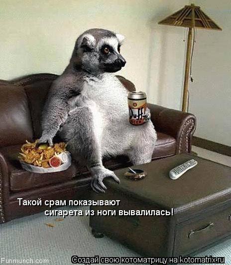 Такой срам показывают сигарета из ноги вывалилась!... Котоматрица: Такой срам показывают сигарета из ноги вывалилась!