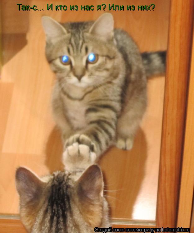 Так-с... И кто из нас я? Или из них?... Котоматрица: Так-с... И кто из нас я? Или из них?