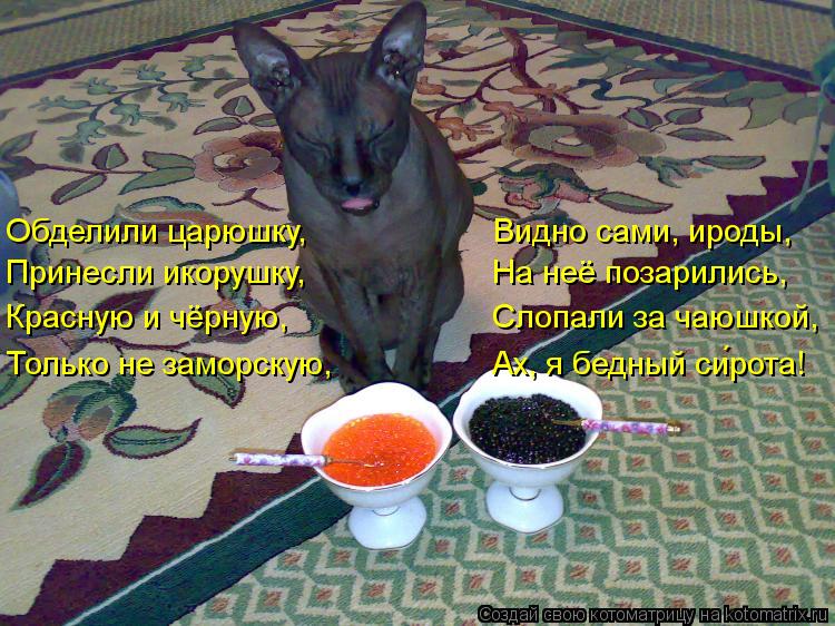 Обделили царюшку, Видно сами, ироды, Принесли икорушку, На не... Котоматрица: Обделили царюшку, Видно сами, ироды, Принесли икорушку, На неё позарились, Красную и чёрную,