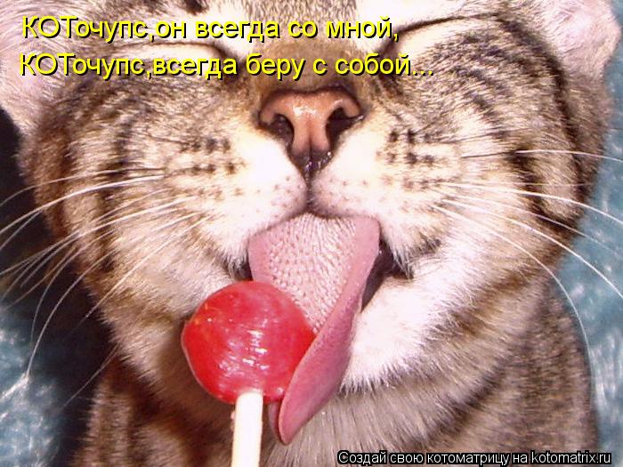 КОТочупс,он всегда со мной, КОТочупс,всегда беру с собой...... Котоматрица: КОТочупс,он всегда со мной, КОТочупс,всегда беру с собой...