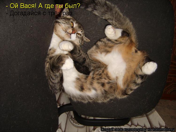 - Ой Вася! А где ты был? - Догадайся с трёх раз.... Котоматрица: - Ой Вася! А где ты был? - Догадайся с трёх раз.