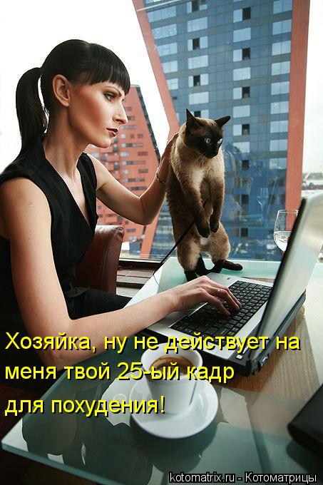 Хозяйка, ну не действует на меня твой 25-ый кадр для похудения!... Котоматрица: Хозяйка, ну не действует на меня твой 25-ый кадр для похудения!