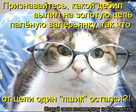 Признавайтесь, какой дебил вылил на золотую цепь палёную валерьянку, так что от цепи один "пшик" ос... Котоматрица: Признавайтесь, какой дебил вылил на золотую цепь палёную валерьянку, так что от цепи один "пшик" остался?!