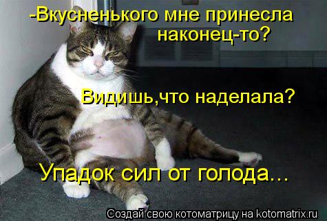 -Вкусненького мне принесла наконец-то? Видишь,что наделала? Упадок сил от голода...... Котоматрица: -Вкусненького мне принесла наконец-то? Видишь,что наделала? Упадок сил от голода...