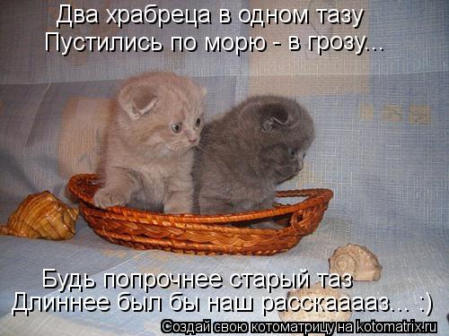 Пустились по морю - в грозу... Будь попрочнее старый таз Два храбреца в одном тазу Длиннее был бы наш... Котоматрица: Пустились по морю - в грозу... Будь попрочнее старый таз Два храбреца в одном тазу Длиннее был бы наш расскааааз... :)