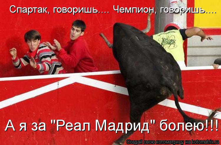 Спартак, говоришь.... Чемпион, говоришь.... А я за "Реал Мадрид" болею!!!... Котоматрица: Спартак, говоришь.... Чемпион, говоришь.... А я за "Реал Мадрид" болею!!!