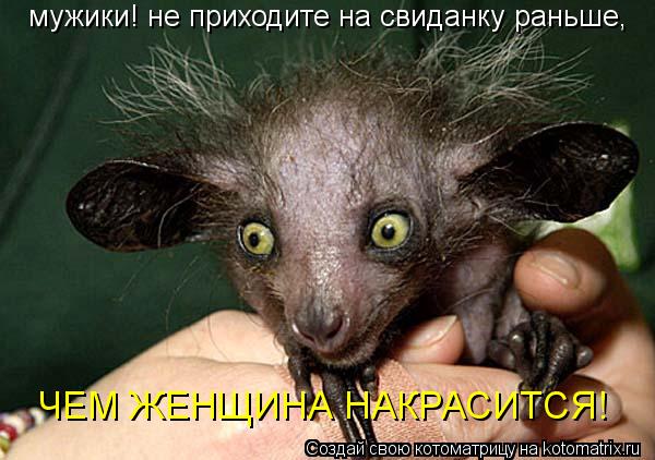 мужики! не приходите на свиданку раньше, ЧЕМ ЖЕНЩИНА НАКРАСИТСЯ!... Котоматрица: мужики! не приходите на свиданку раньше, ЧЕМ ЖЕНЩИНА НАКРАСИТСЯ!