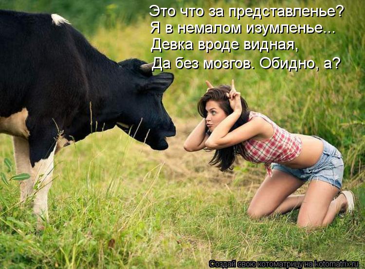 Котоматрица: Это что за представленье? Я в немалом изумленье... Девка вроде видная,  Да без мозгов. Обидно, а?