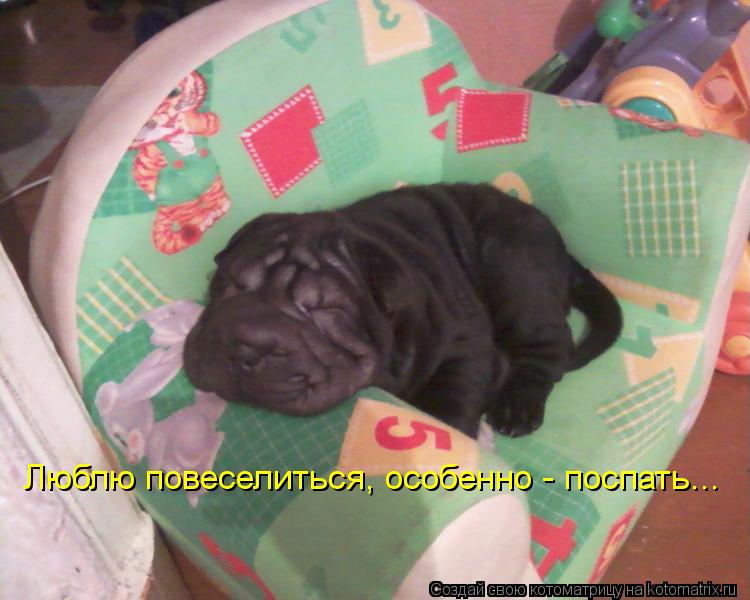 Люблю повеселиться, особенно - поспать...... Котоматрица: Люблю повеселиться, особенно - поспать...