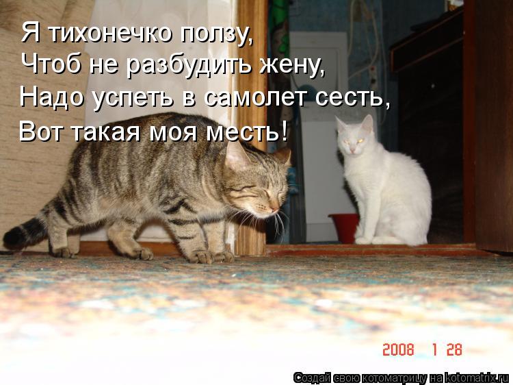 Я тихонечко ползу, Чтоб не разбудить жену, Надо успеть в самолет сесть, Вот такая моя месть!... Котоматрица: Я тихонечко ползу, Чтоб не разбудить жену, Надо успеть в самолет сесть, Вот такая моя месть!