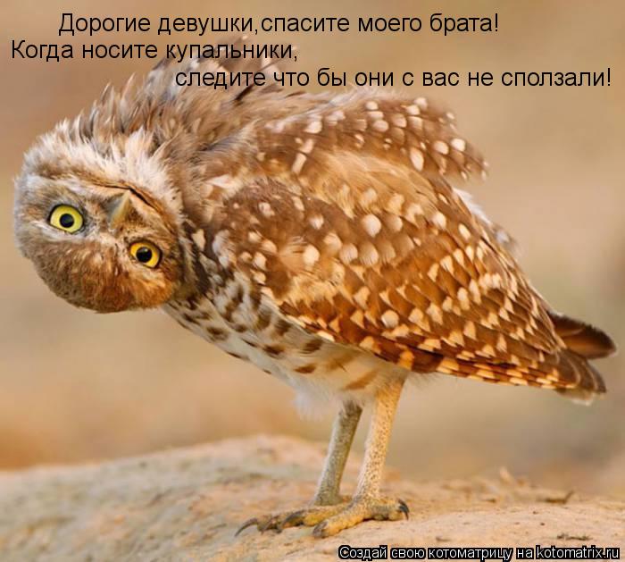 Дорогие девушки,спасите моего брата! Когда носите купальники, следите что бы они с вас не сползали!... Котоматрица: Дорогие девушки,спасите моего брата! Когда носите купальники, следите что бы они с вас не сползали!