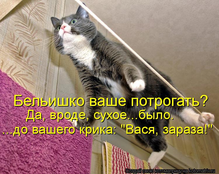 Котоматрица: Бельишко ваше потрогать?  Да, вроде, сухое...было. ...до вашего крика: "Вася, зараза!"