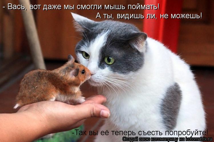 - Вась, вот даже мы смогли мышь поймать! А ты, видишь ли, не можешь! -Так вы её теперь съесть попробу... Котоматрица: - Вась, вот даже мы смогли мышь поймать! А ты, видишь ли, не можешь! -Так вы её теперь съесть попробуйте!