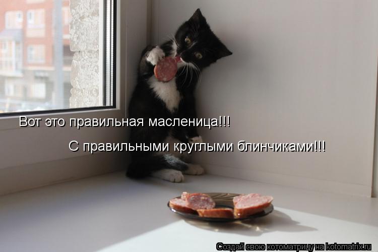 Вот это правильная масленица!!! С правильными круглыми блинчиками!!!... Котоматрица: Вот это правильная масленица!!! С правильными круглыми блинчиками!!!