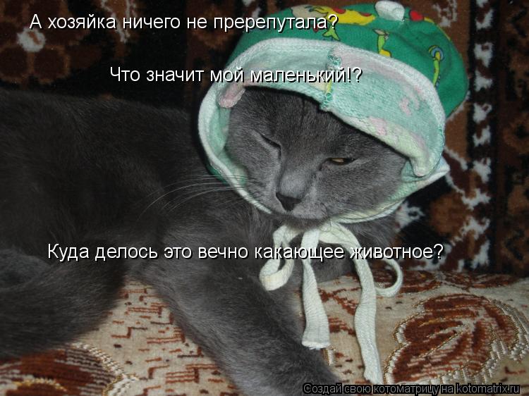 А хозяйка ничего не пререпутала? Что значит мой маленький!? Куда делось это вечно какающее животное?... Котоматрица: А хозяйка ничего не пререпутала? Что значит мой маленький!? Куда делось это вечно какающее животное?