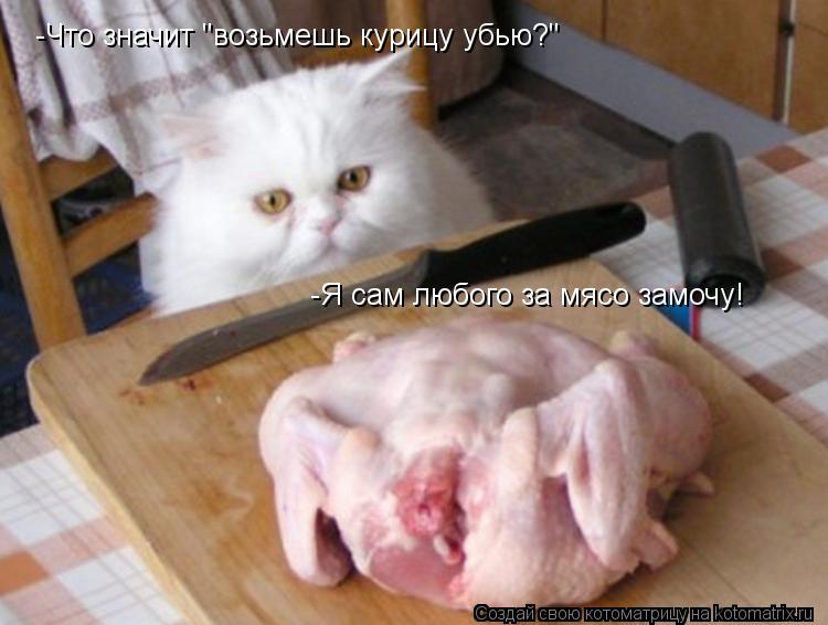 -Что значит "возьмешь курицу убью?" -Я сам любого за мясо замочу!... Котоматрица: -Что значит "возьмешь курицу убью?" -Я сам любого за мясо замочу!