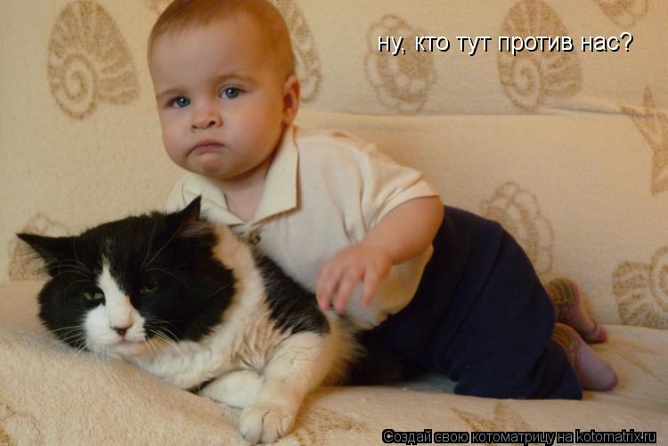 Котоматрица: ну, кто тут против нас?