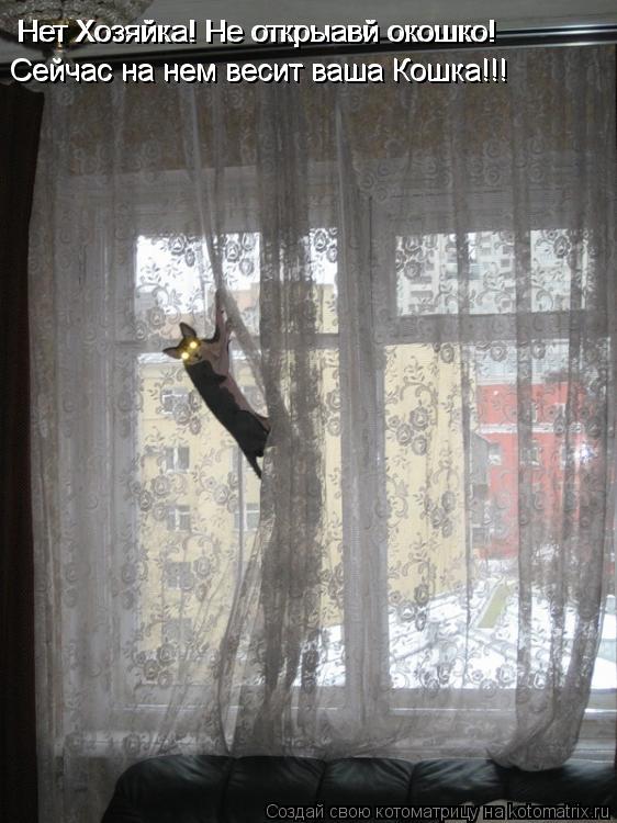 Нет Хозяйка! Не открыавй окошко! Нет Хозяйка! Не открыавй окошко! Сейчас на нем весит ваша Кошка!!! С... Котоматрица: Нет Хозяйка! Не открыавй окошко! Нет Хозяйка! Не открыавй окошко! Сейчас на нем весит ваша Кошка!!! Сейчас на нем весит ваша Кошка!!!