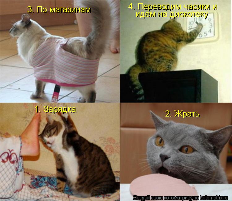 1. Зарядка 2. Жрать 3. По магазинам 4. Переводим часики и идем на дискотеку... Котоматрица: 1. Зарядка 2. Жрать 3. По магазинам 4. Переводим часики и идем на дискотеку