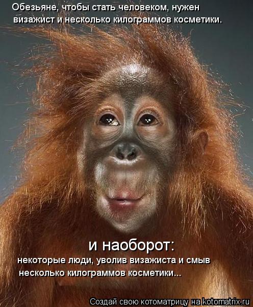 визажист и несколько килограммов косметики. и наоборот: некоторые люди, уволив визажиста и смыв неск... Котоматрица: визажист и несколько килограммов косметики. и наоборот: некоторые люди, уволив визажиста и смыв несколько килограммов косметики... Обезьян