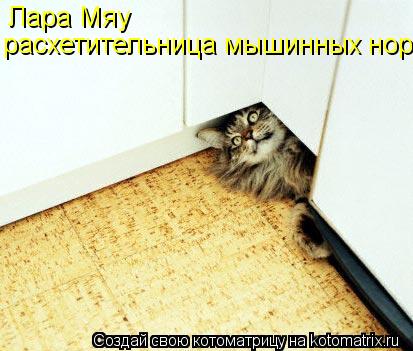 Лара Мяу расхетительница мышинных нор... Котоматрица: Лара Мяу расхетительница мышинных нор