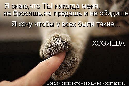 Я знаю,что ТЫ никогда меня: не бросишь, не бросишь,не предашь и не обидишь ХОЗЯЕВА Я хочу чтобы у все... Котоматрица: Я знаю,что ТЫ никогда меня: не бросишь, не бросишь,не предашь и не обидишь ХОЗЯЕВА Я хочу чтобы у всех были такие...