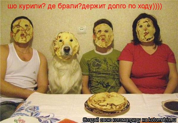 шо курили? де брали?держит долго по ходу))))... Котоматрица: шо курили? де брали?держит долго по ходу))))