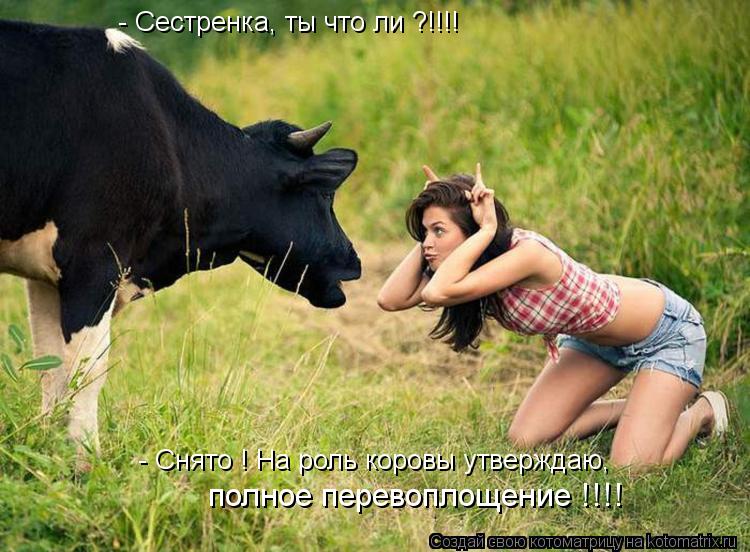 - Сестренка, ты что ли ?!!!! - Снято ! На роль коровы утверждаю, полное перевоплощение !!!!... Котоматрица: - Сестренка, ты что ли ?!!!! - Снято ! На роль коровы утверждаю, полное перевоплощение !!!!
