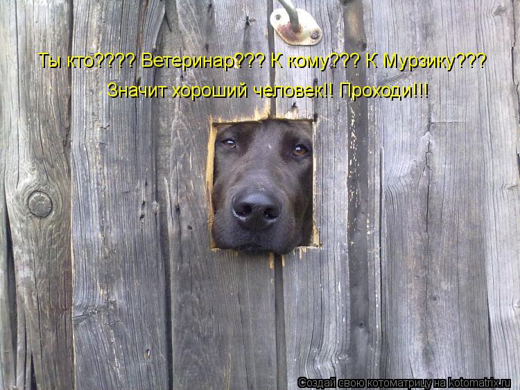 Ты кто???? Ветеринар??? К кому??? К Мурзику??? Значит хороший человек!! Проходи!!!... Котоматрица: Ты кто???? Ветеринар??? К кому??? К Мурзику??? Значит хороший человек!! Проходи!!!