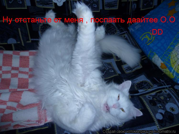 Ну отстаньте от меня , поспаать даайтее О.О :DD... Котоматрица: Ну отстаньте от меня , поспаать даайтее О.О :DD