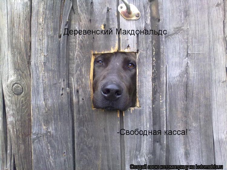 Деревенский Макдональдс -Свободная касса!... Котоматрица: Деревенский Макдональдс -Свободная касса!