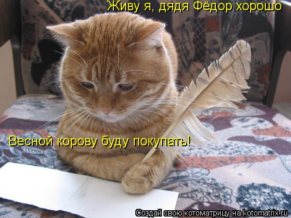 Живу я, дядя Фёдор хорошо Весной корову буду покупать!... Котоматрица: Живу я, дядя Фёдор хорошо Весной корову буду покупать!